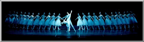 Swan Lake